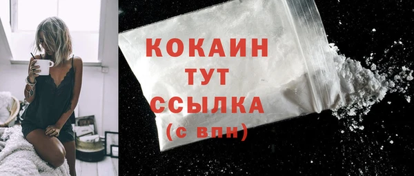мдпв Кукмор
