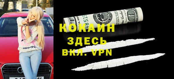 мдпв Кукмор