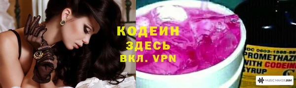 мдпв Кукмор