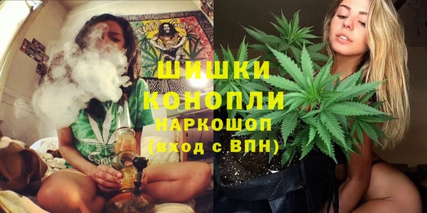 мдпв Кукмор