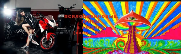 мдпв Кукмор