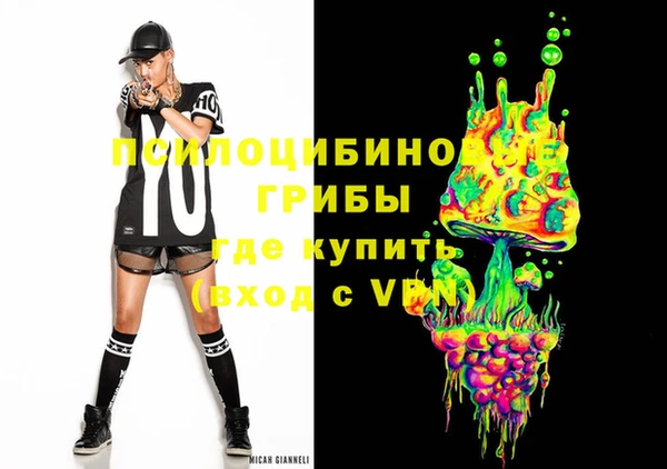 мдпв Кукмор