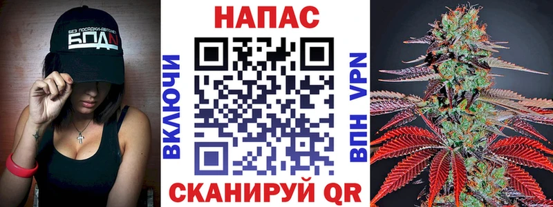 Каннабис конопля  Купить закладки  Котовск 